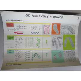 Od molekuly k buňce 2 - přírodopis - školní plakát - Prvky ultrastruktury