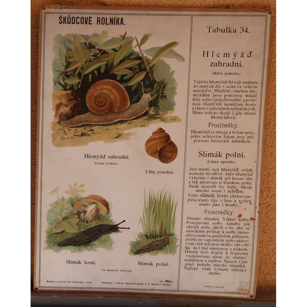 Škůdcové rolníka 34 - Hlemýžď zahradní, Slimák polní - přírodopis - školní plakát