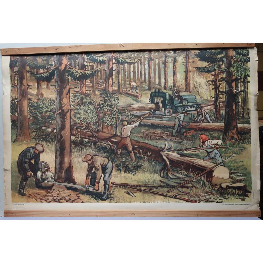 Kácení stromů v lese, stromy, těžba dřeva - prvouka - školní plakát - výukový obraz