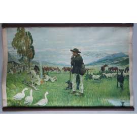 Salaš, pastýř - školní plakát - výukový obraz