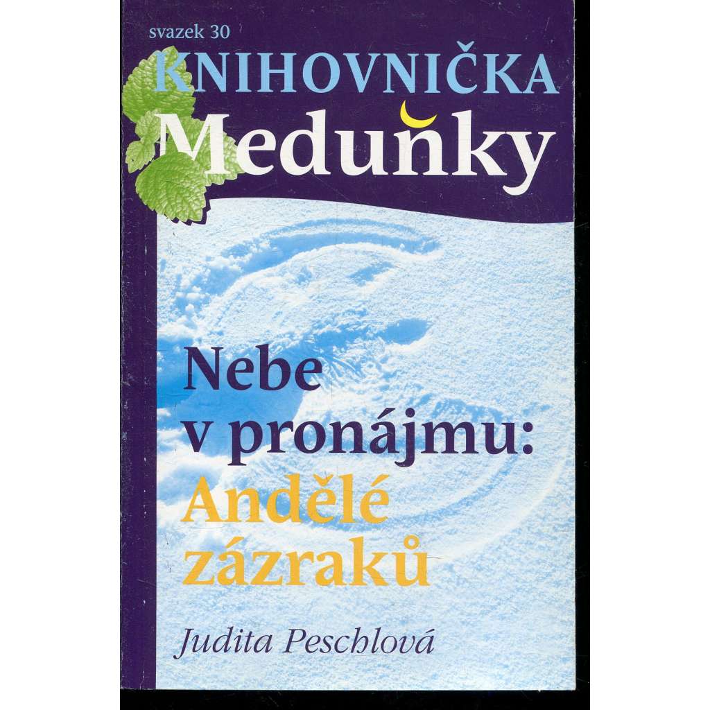 Nebe v pronájmu: Andělé zázraků (Knihovnička Meduňky, sv. 30)