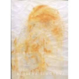 Adriena Šimotová - Vyjevování 2001-2010 (katalog výstavy)