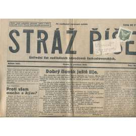 Stráž Říše, číslo 48/1931. Ústřední list Radikálních národovců československých (noviny, 1. republika)