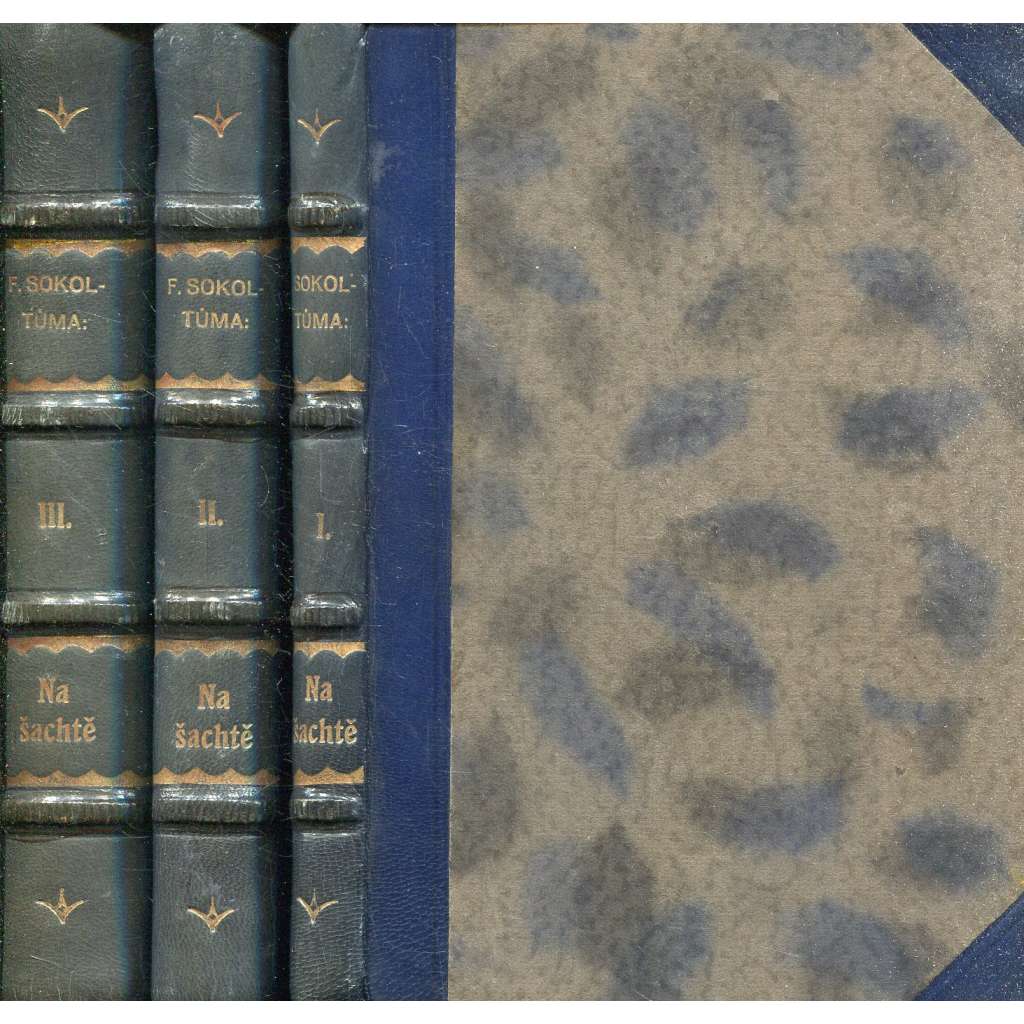 Na šachtě, díl I. - III. (vazba kůže-polokožená) - 3 svazky