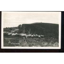 Radhošť, Nový Jičín