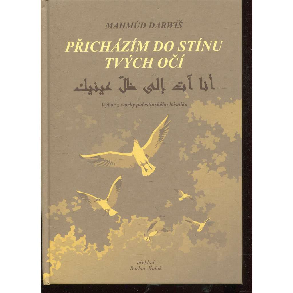 Přicházím do stínu tvých očí (poezie) Přicházím do stínu tvých očí (poezie)