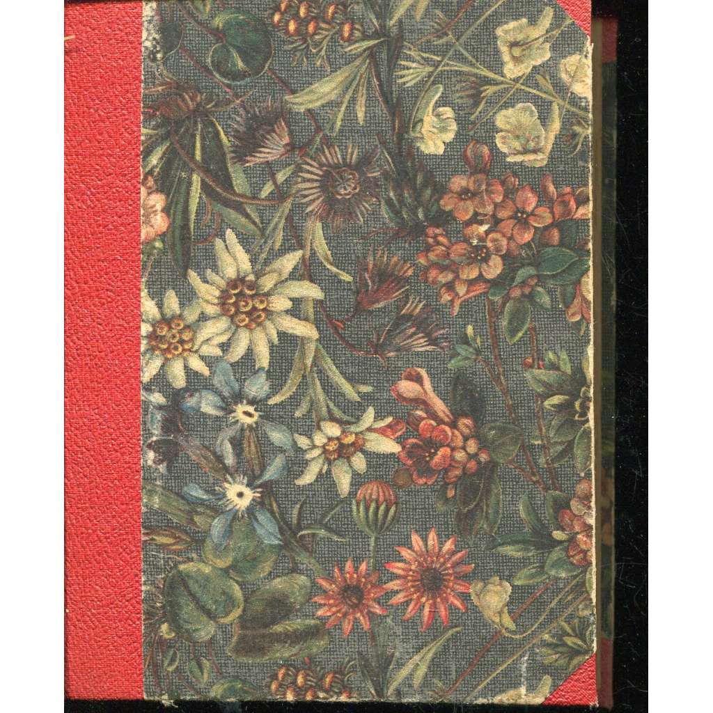 Zápas s obry Zápas s obry