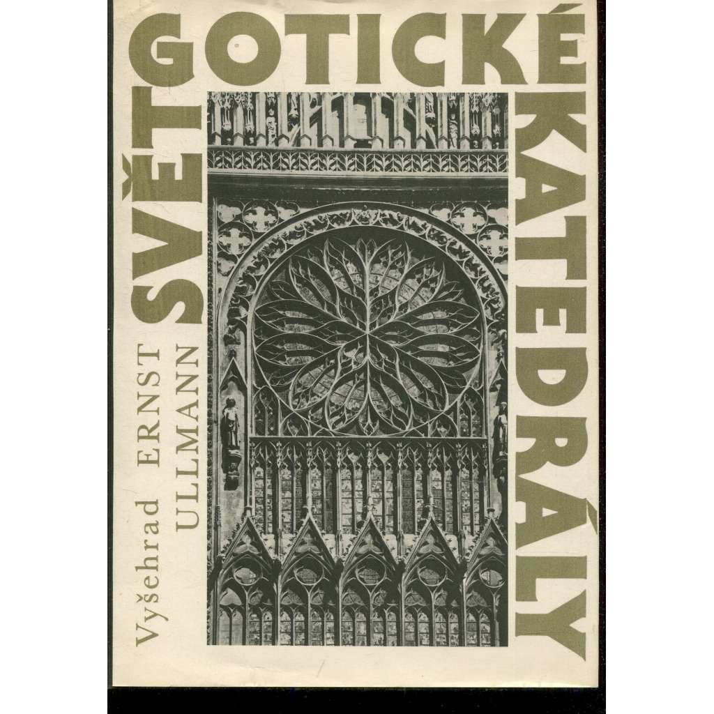Svět gotické katedrály [katedrála, středověká architektura, kostel, gotika, dóm]