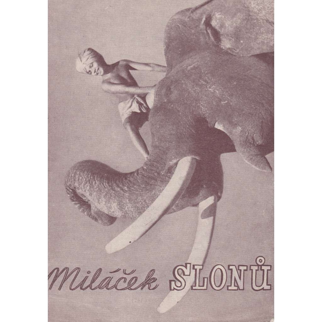 Miláček slonů. Bio-program v obrazech. Filmový prospekt z kina. (režie Z. Korda, hrají W. E. Holloway, W. Hudd)