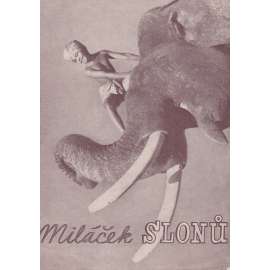 Miláček slonů. Bio-program v obrazech. Filmový prospekt z kina. (režie Z. Korda, hrají W. E. Holloway, W. Hudd)