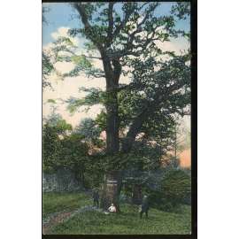 Svatý Jan pod Skalou, Beroun