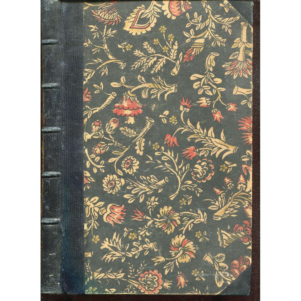 Základové tělocviku (tělocvik) - Sokol