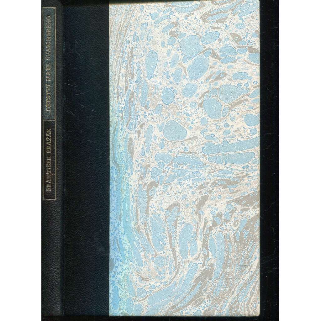 Dětství Maxe Švabinského (1x litografie Max Švabinský) Dětství Maxe Švabinského (1x litografie Max Švabinský)