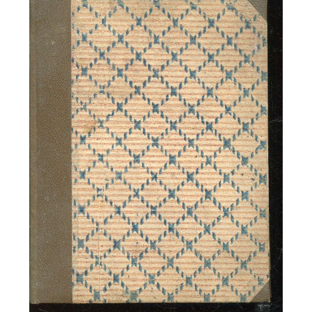 Reflexe z katechismu. Padesát listů perokreseb Reflexe z katechismu. Padesát listů perokreseb