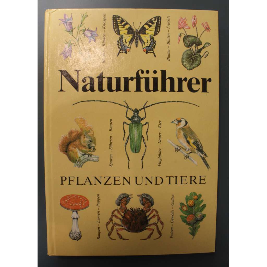 Naturführer. Pflanzen und Tiere (Přírodní průvodce. Rostliny a živočichové, mj. květiny, houby, savci, hmyz, ptáci)