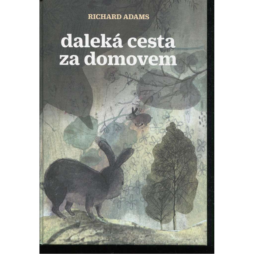 Daleká cesta za domovem