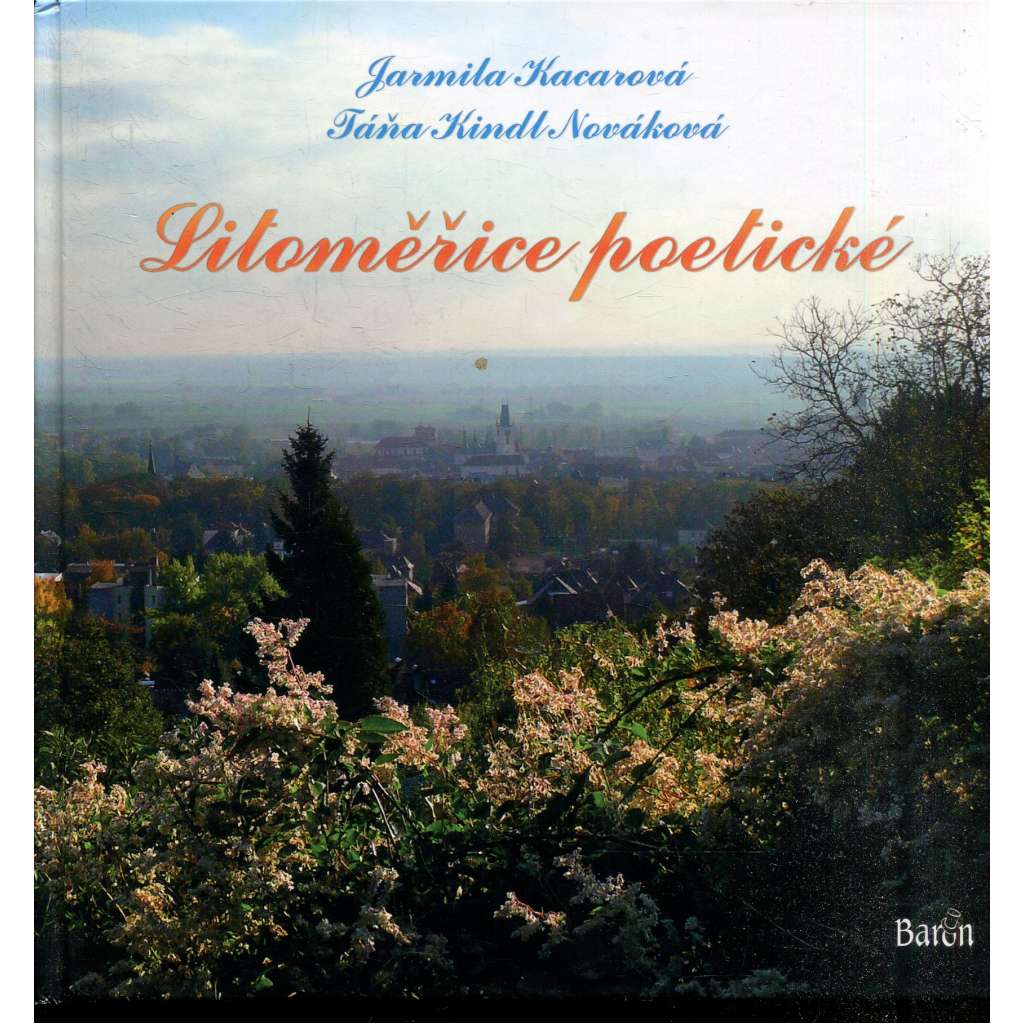 Litoměřice poetické