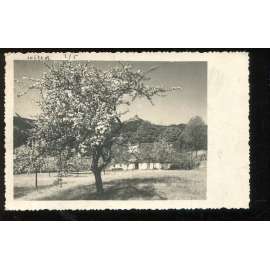 Ještěd rozhledna, Liberec