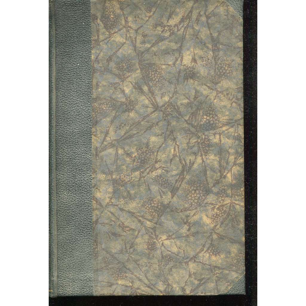 České státní právo (1892)