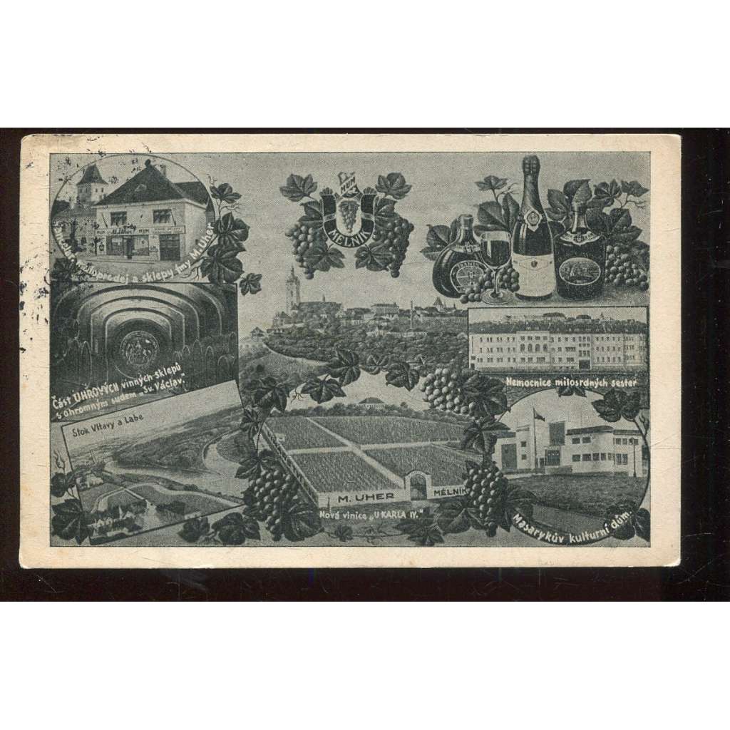 Mělník, vinařství