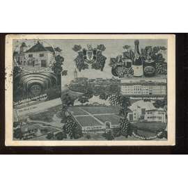 Mělník, vinařství