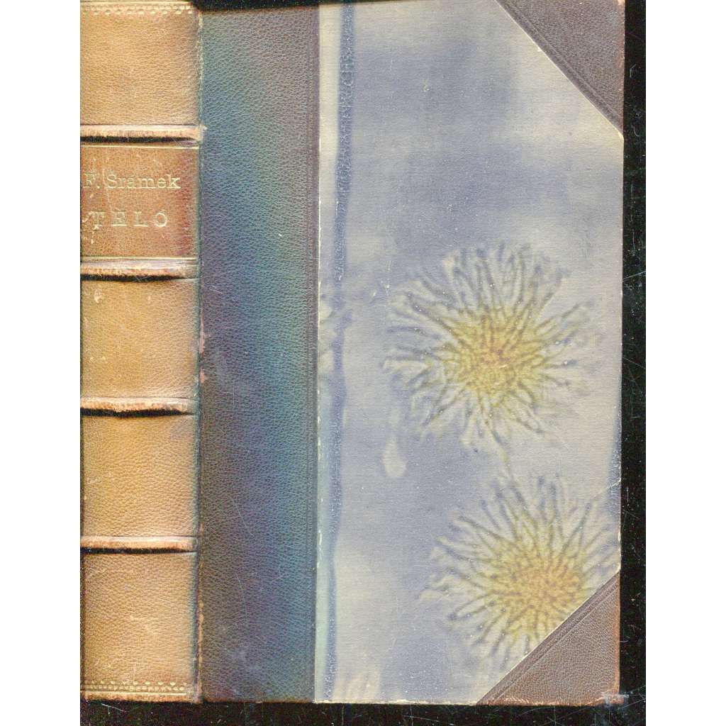 Tělo (román, Fráňa Šrámek) - vazba kůže - polokožená