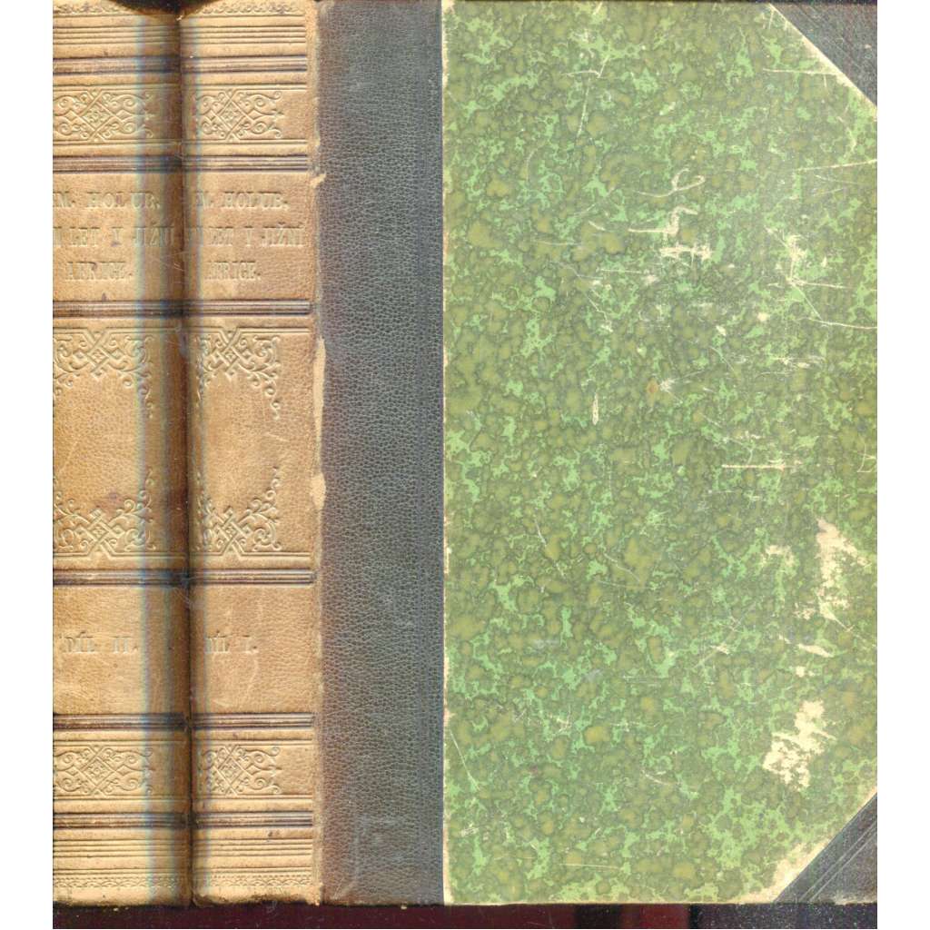 Sedm let v jižní Africe 1. a 2. (2 svazky) - Emil Holub, Afrika - 1880 (vazba kůže - polokožená)