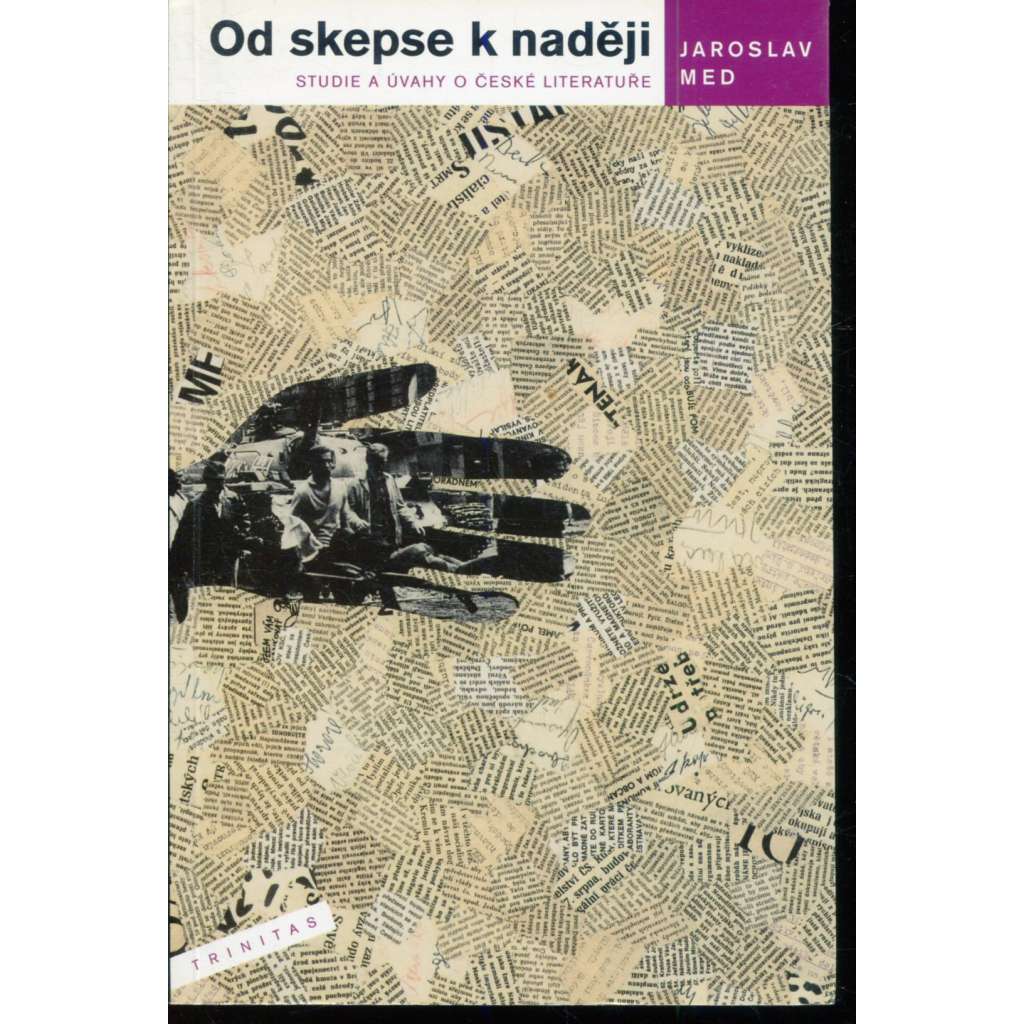 Od skepse k naději. Studie a úvahy o české literatuře (česká literatura)