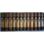 OTTŮV SLOVNÍK NAUČNÝ - KOMPLET 40 SVAZKŮ - 28 základní řada + 12 DODATKY - SLEVA - VAZBA KŮŽE - (encyklopedie všech oborů - mj. historie, přírodní vědy, místopis, výkladová hesla)