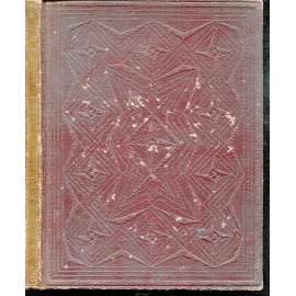 Všemu navzdory [původní kubistická vazba a typografie Method Kaláb; kubismus]