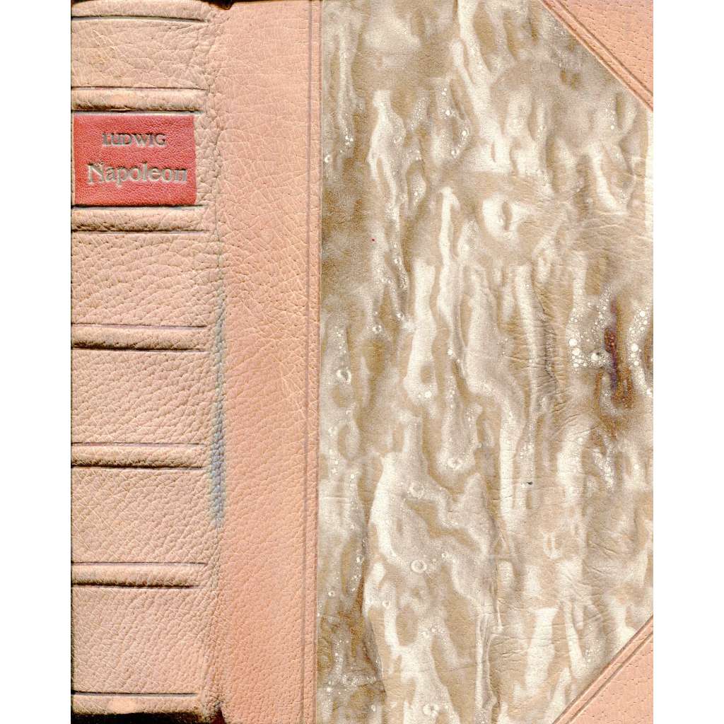 Napoleon (vazba kůže - polokožená) Napoleon (vazba kůže - polokožená)