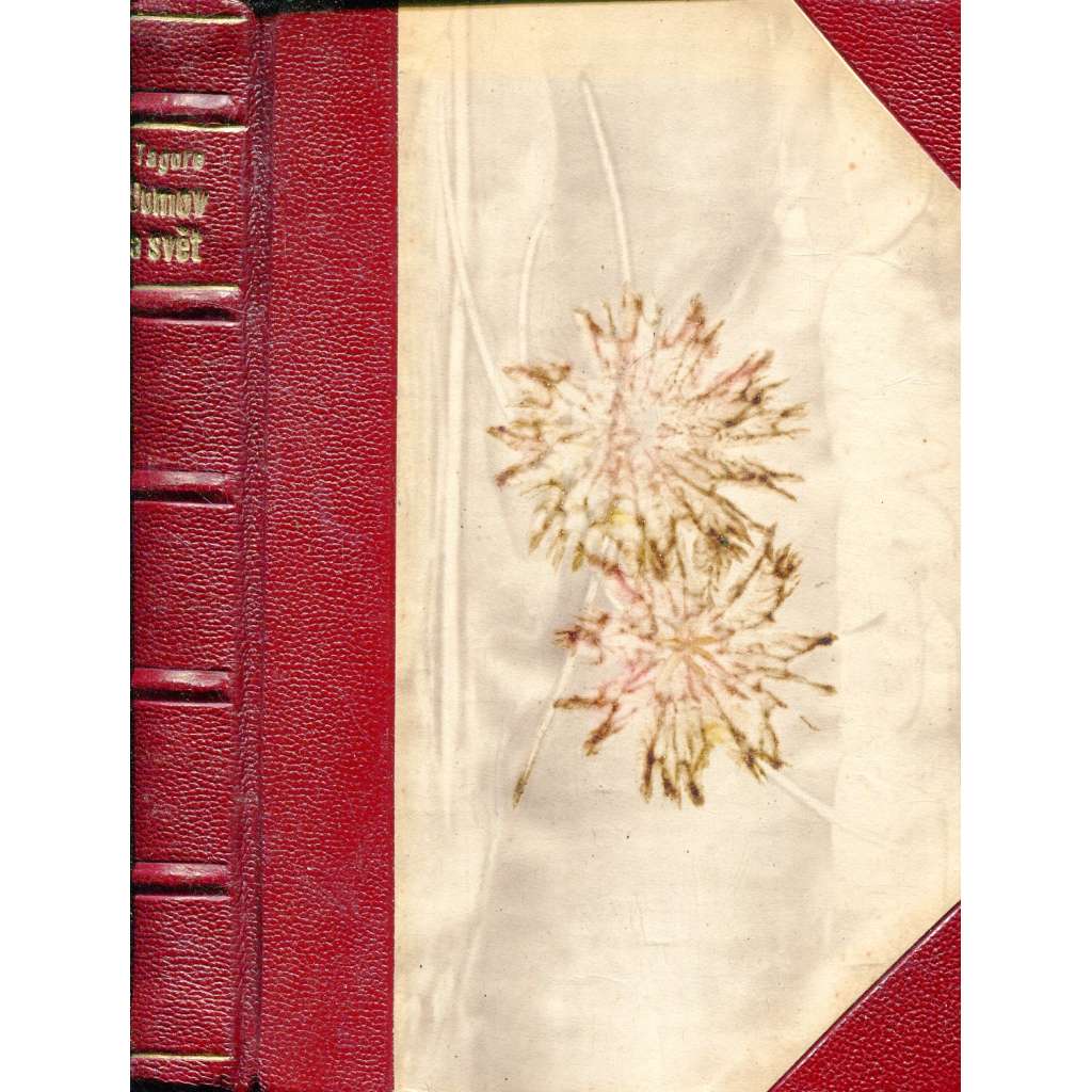 Domov a svět (vazba kůže - polokožená)