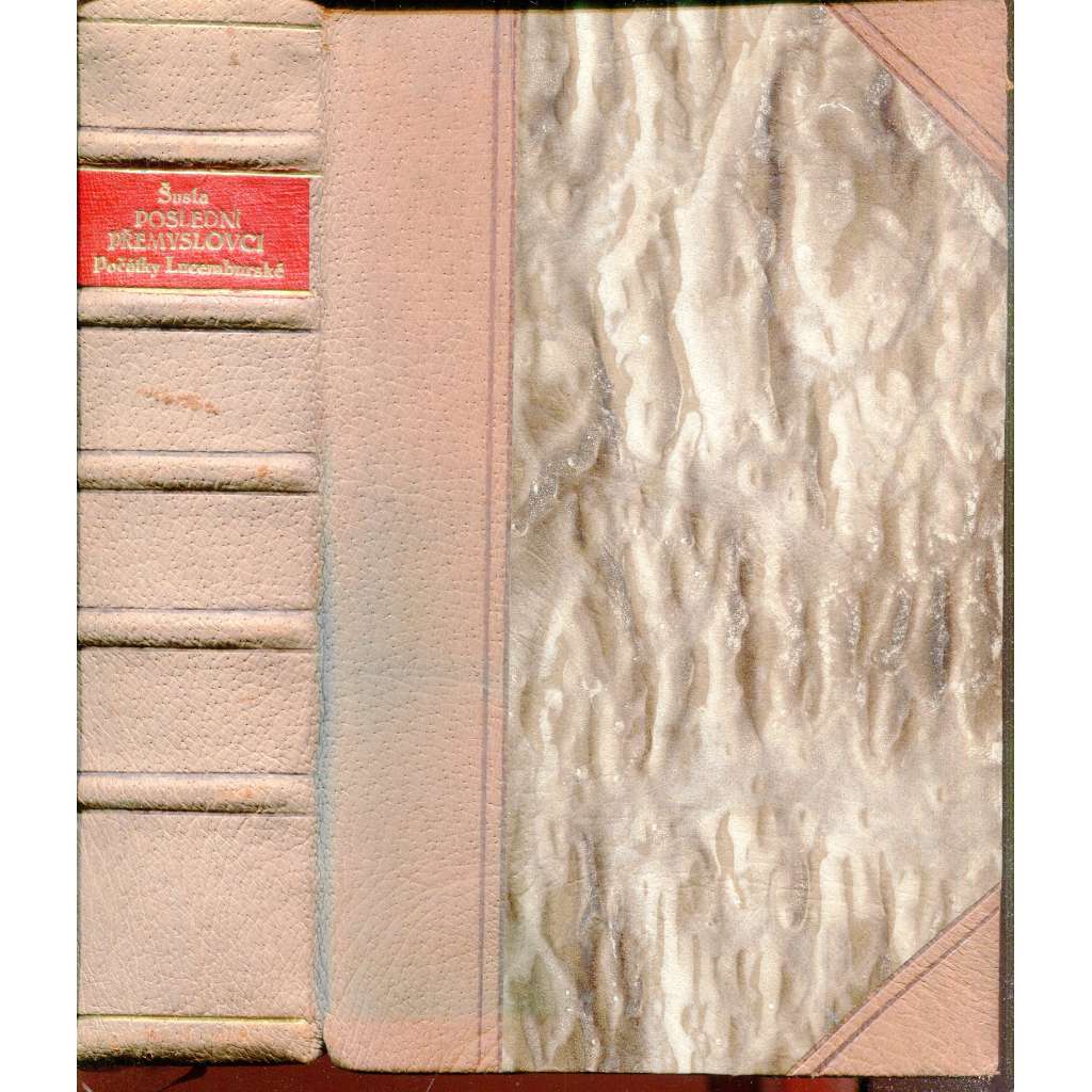 Poslední Přemyslovci a jejich dědictví 1300-1308 / Počátky Lucemburské 1308-1320 (vazba kůže - polokožená)