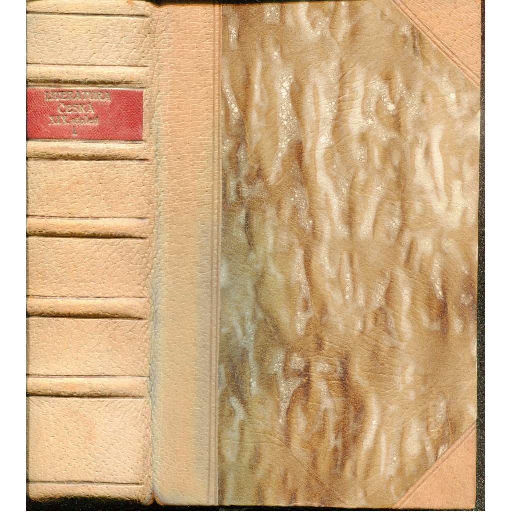 Literatura česká devatenáctého století, díl I. (vazba kůže - polokožená)