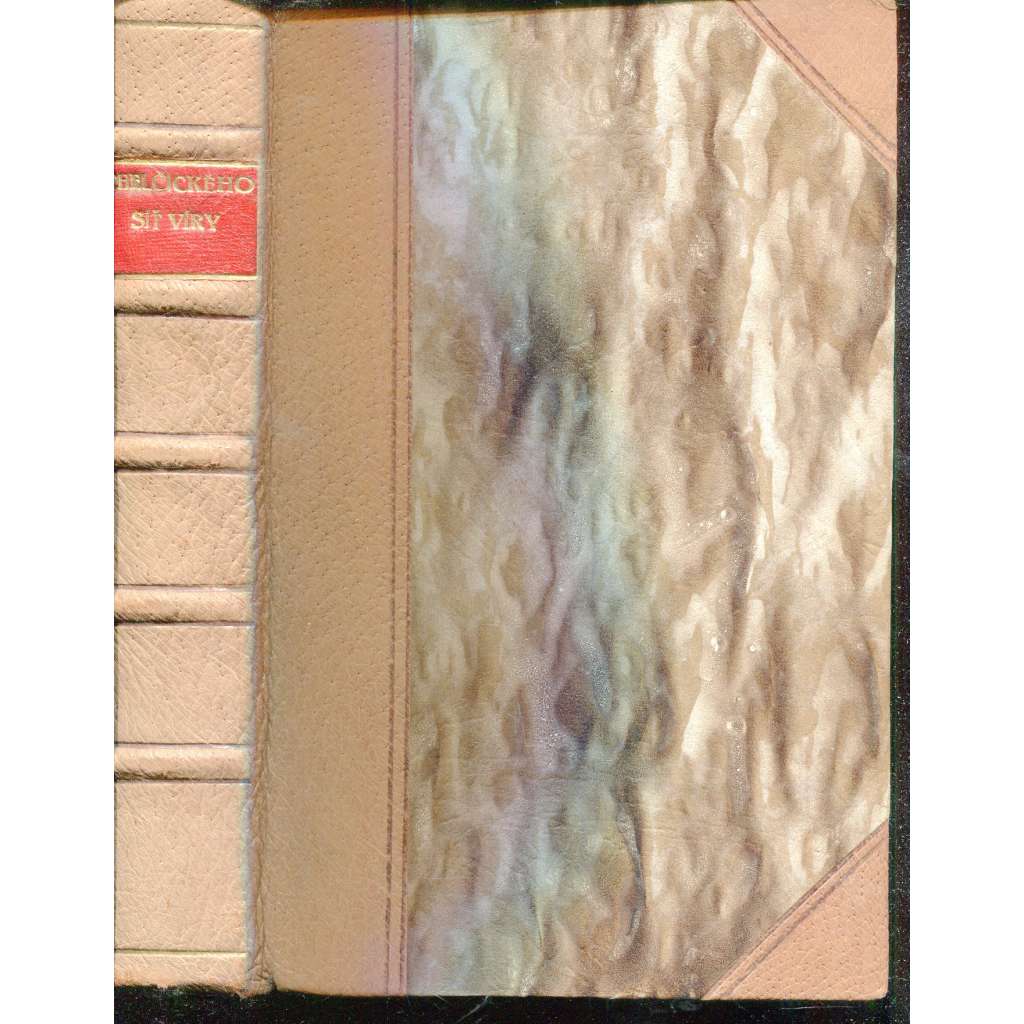 Síť víry (vazba kůže - polokožená)