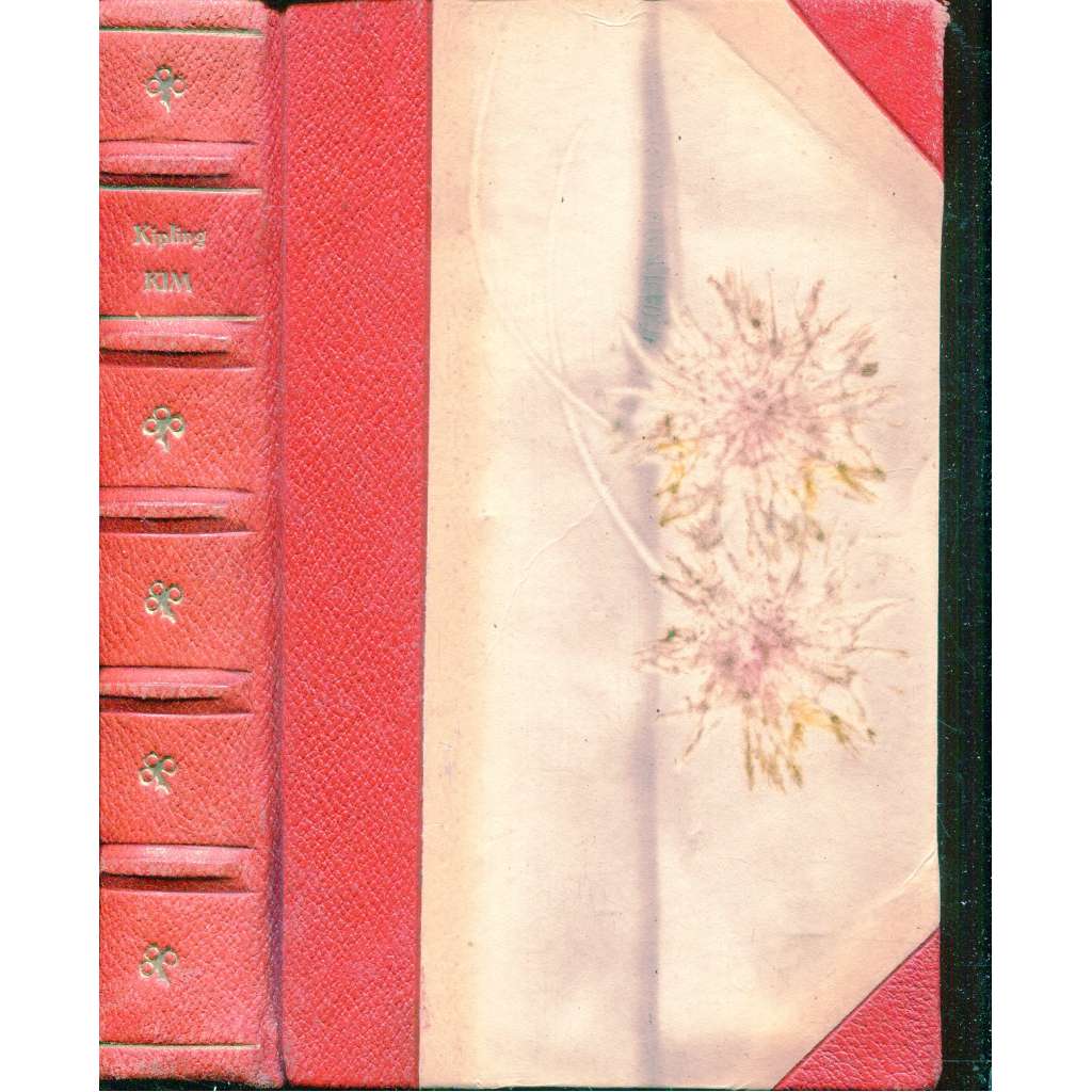 Kim (vazba kůže - polokožená)