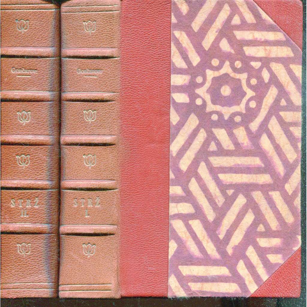 Strž, díl I.-V. (2 svazky, vazba kůže - polokožená)