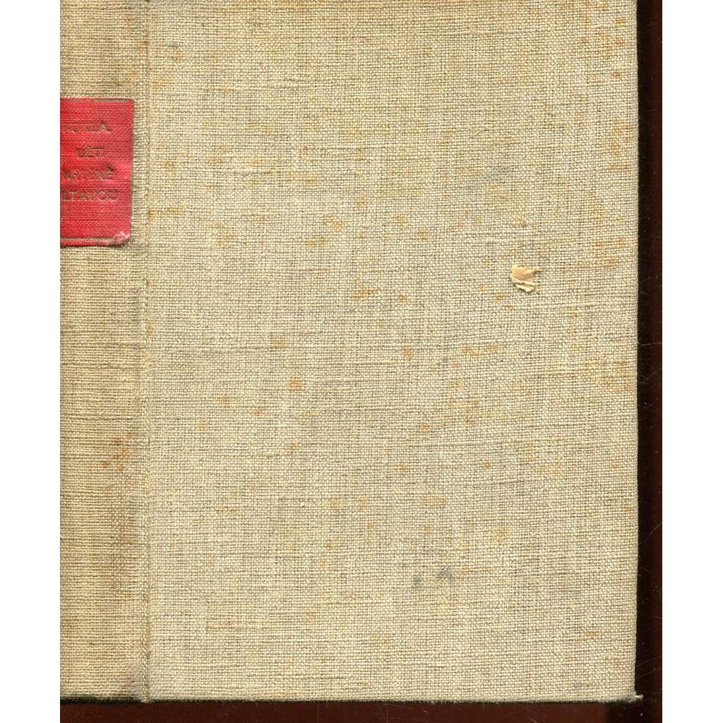 Děti křtěné Vltavou