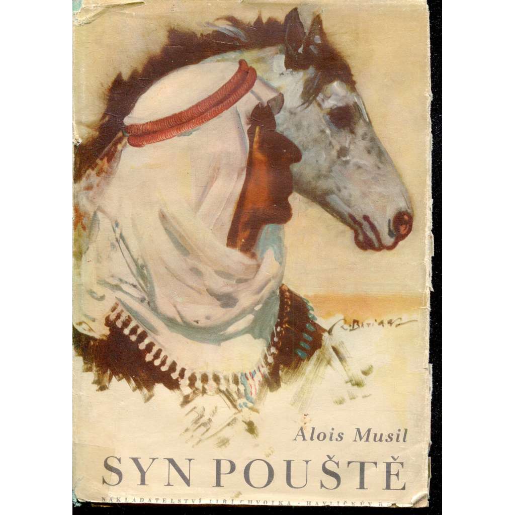 Syn pouště (obrázky Zdeněk Burian) Syn pouště (obrázky Zdeněk Burian)