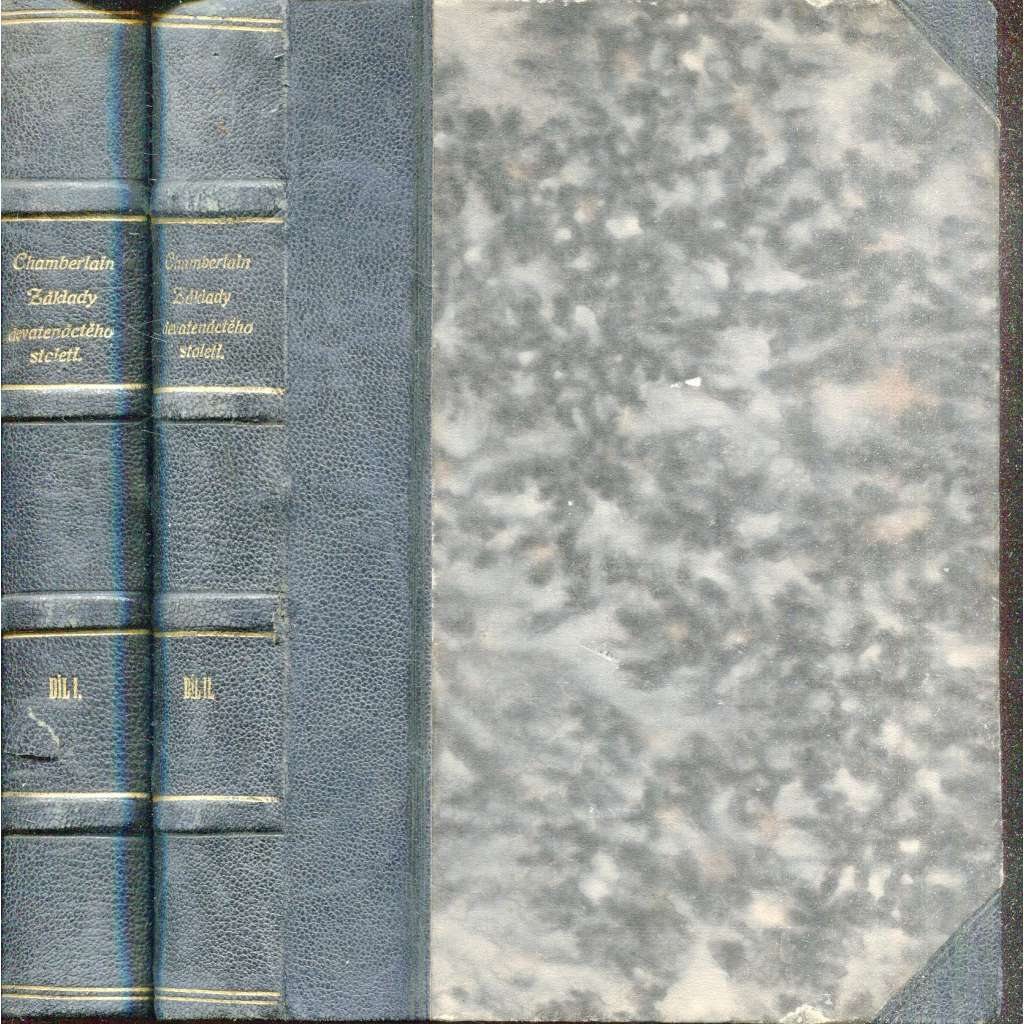 Základy devatenáctého století, díl I. a II. ( 2 svazky) - vazba kůže - polokožená