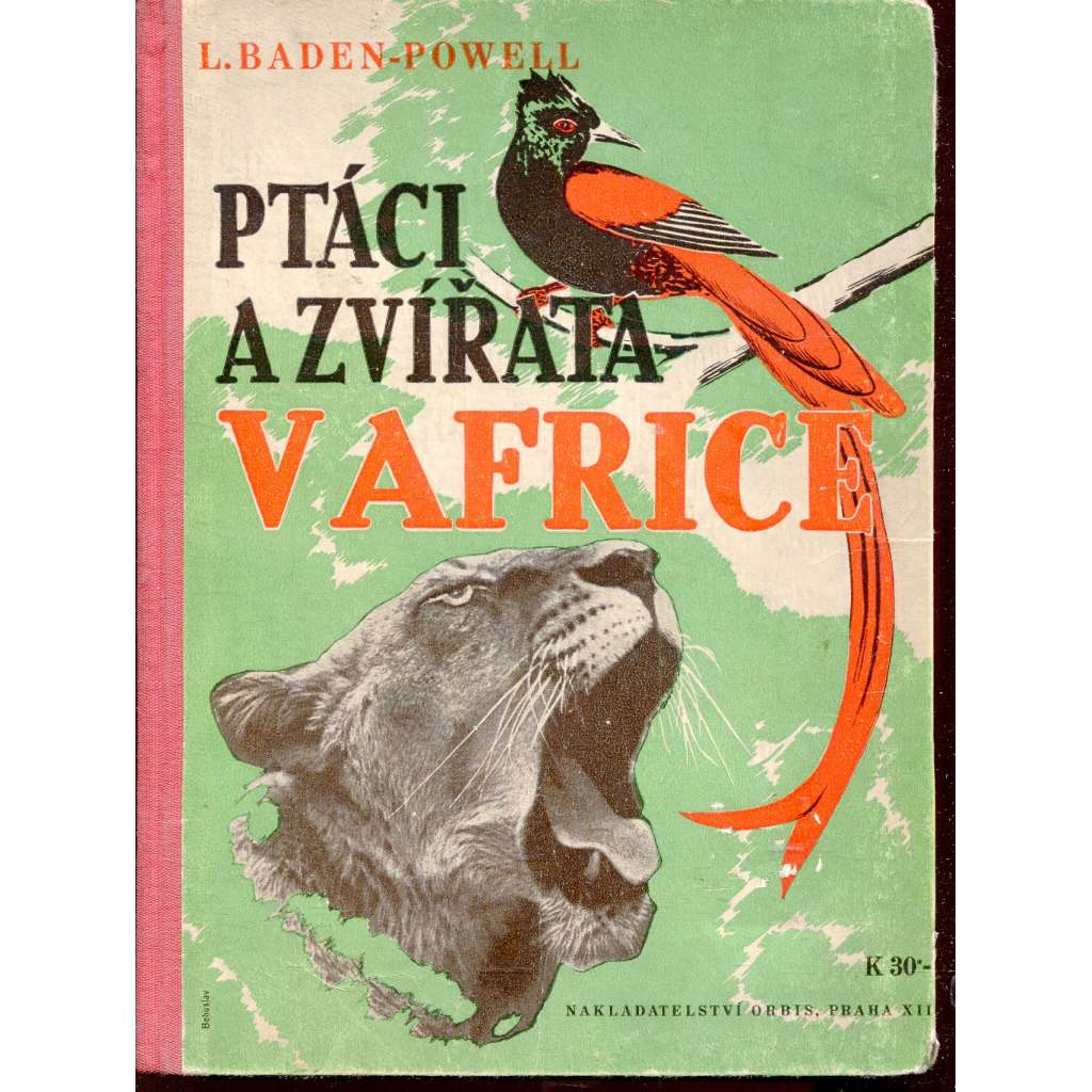 Ptáci a zvířata v Africe
