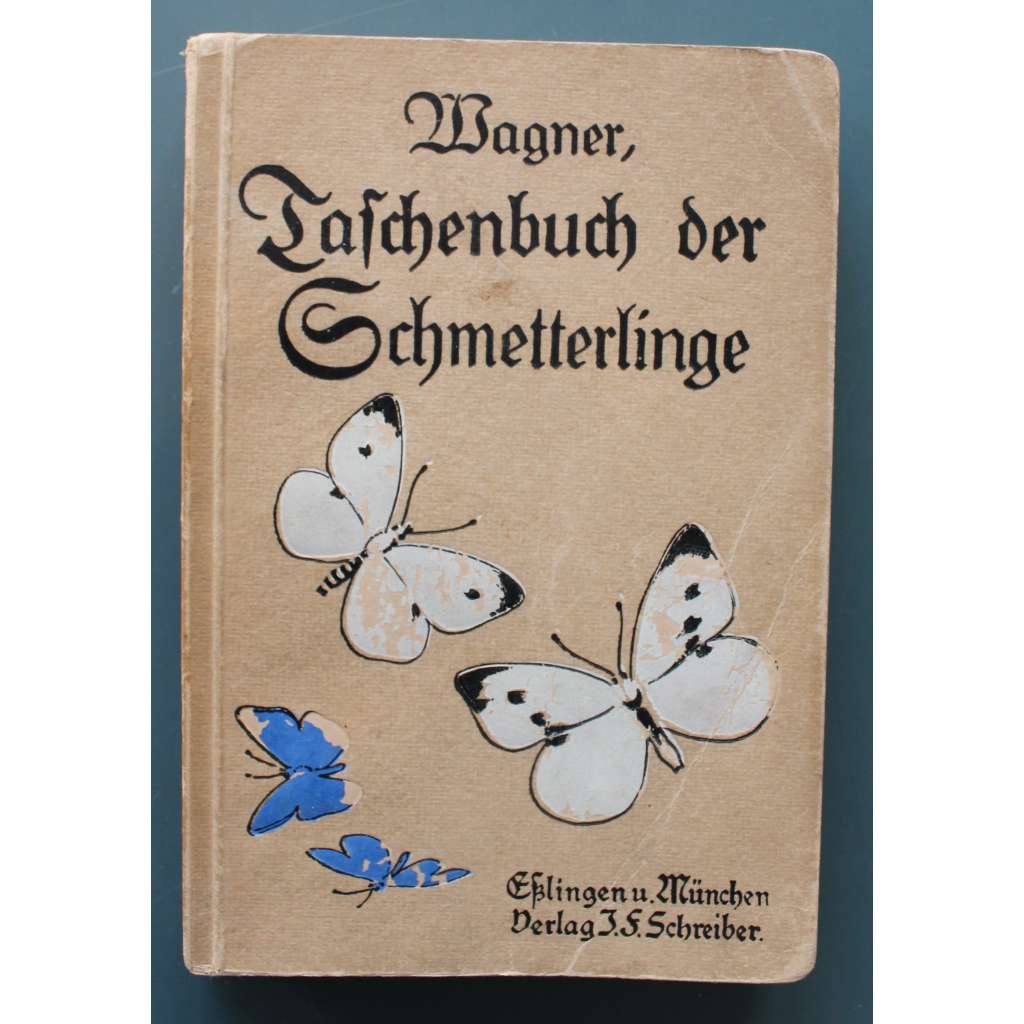 Taschenbuch der Schmetterlinge (Motýli, přírodní vědy, biologie; barevné ilustrace)