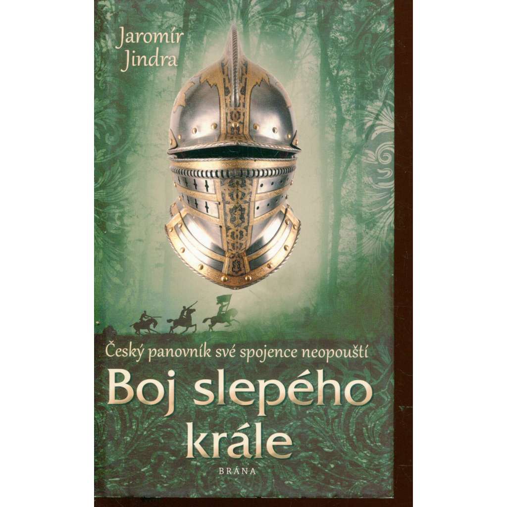 Boj slepého krále