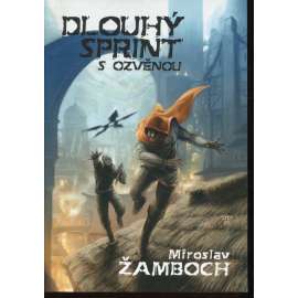 Dlouhý sprint s ozvěnou (Miroslav Žamboch)