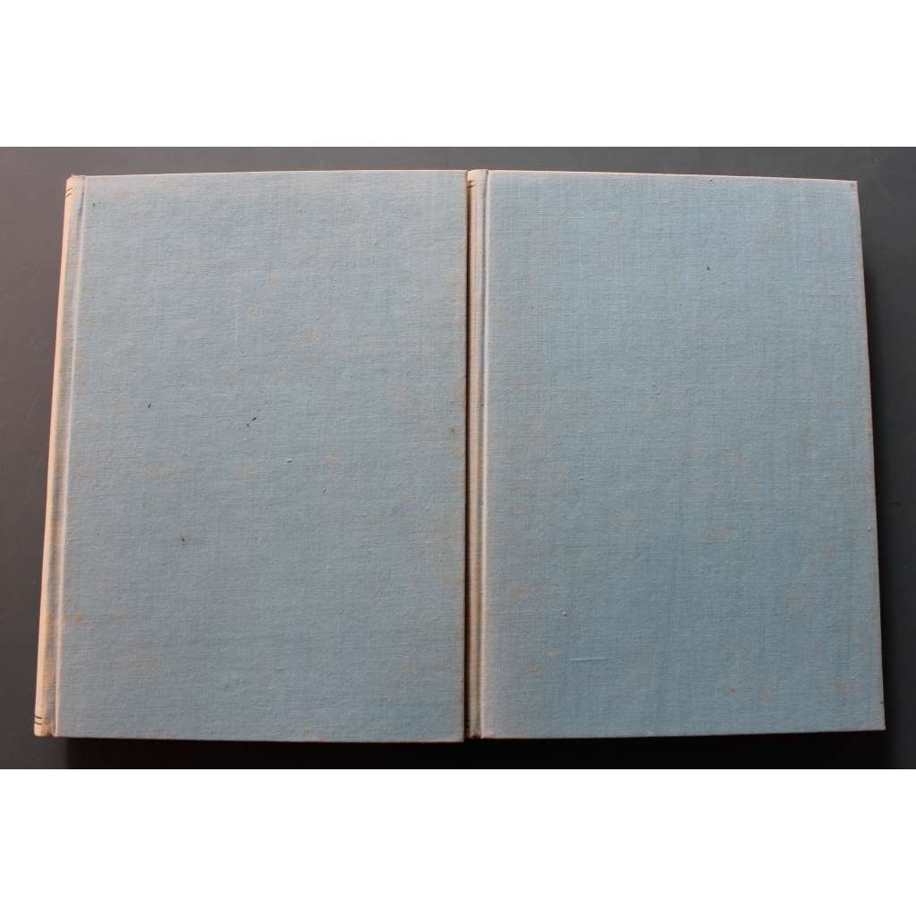Soupis rukopisů Národního musea v Praze 2 svazky (rukopisy, soupisový katalog, prvotisky, Národní muzeum Praha)