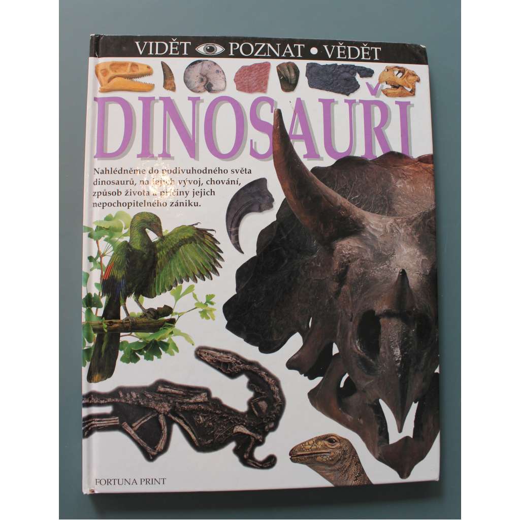 Dinosauři (edice: Vidět - poznat - vědět) (Paleontologie, dětská literatura, mj. Masožravci, Býložravci, Smrt dinosaurů, Konec jedné epochy)