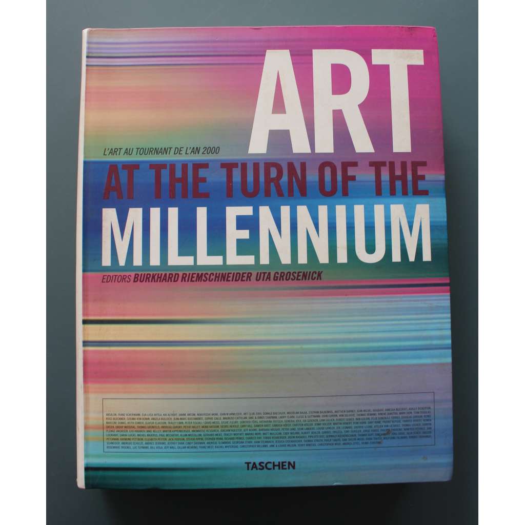 Art at the Turn of the Millennium (Umění na přelomu tisíciletí, malířství, sochařství, konceptuální umění, mj. M. Cattelan, T. Emin, D. Hirst, T. Struth, M. Kippenberger, R. Dijkstra)