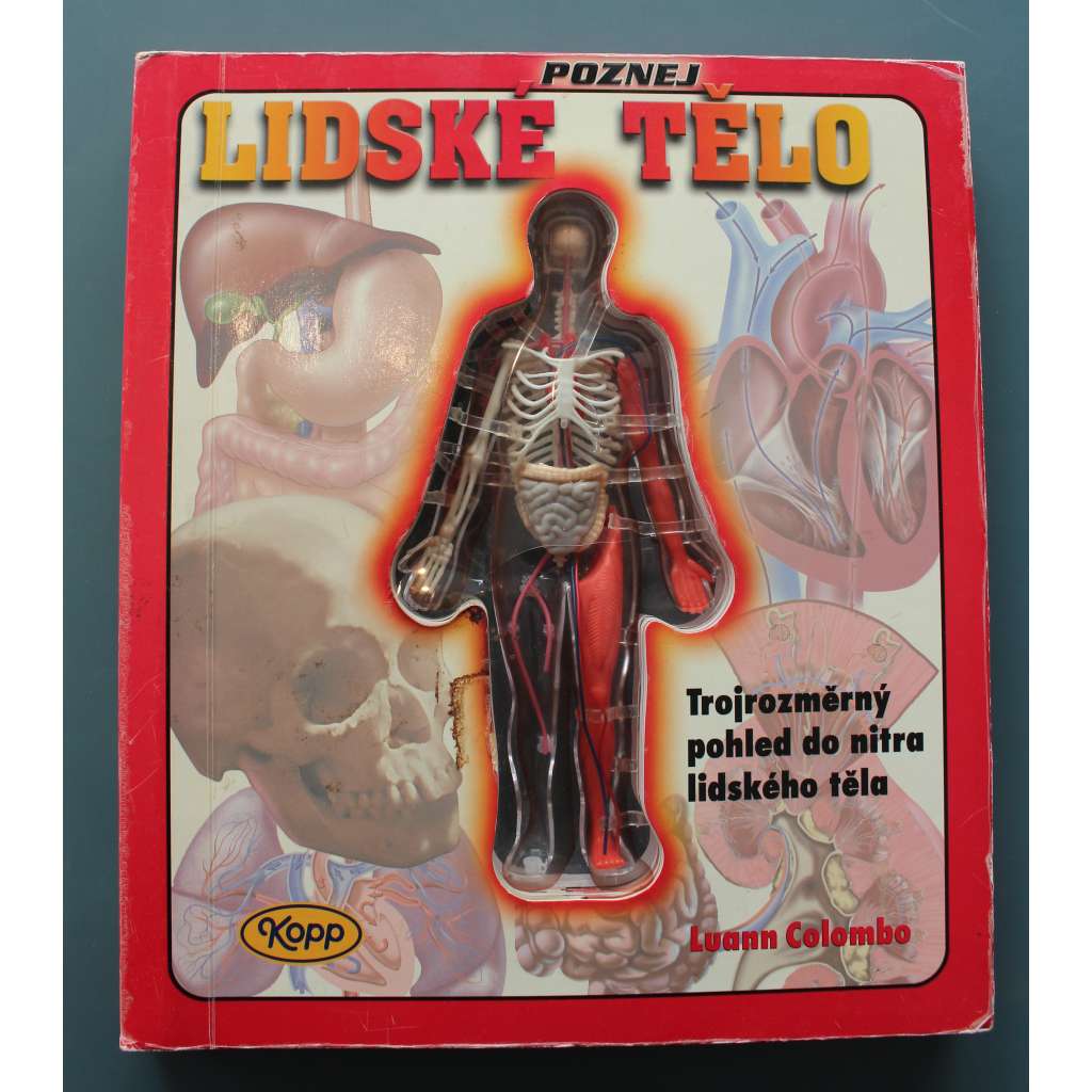 Poznej lidské tělo. Trojrozměrný pohled do nitra lidského těla (leporelo, anatomie, dětská literatura)