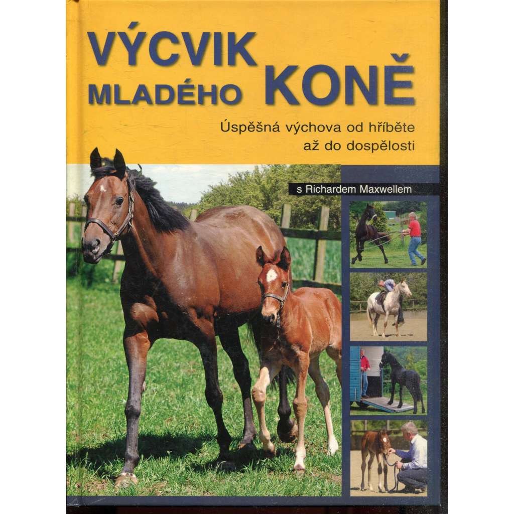 Výcvik mladého koně s Richardem Maxwellem (kůň, koně)