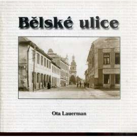 Bělské ulice (Bělá pod Bezdězem)